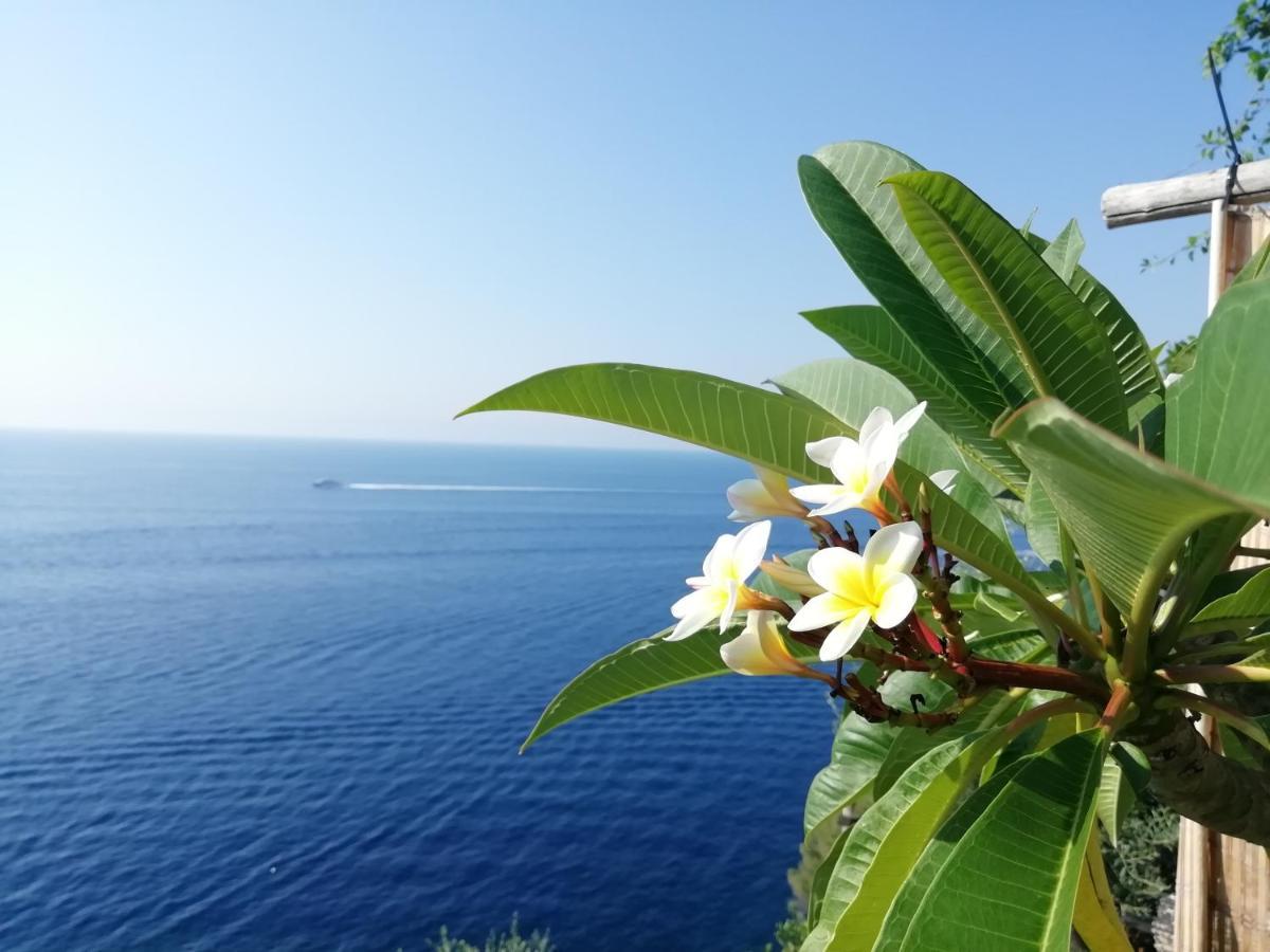 프라이아노 Sea Side Solandra 아파트 외부 사진